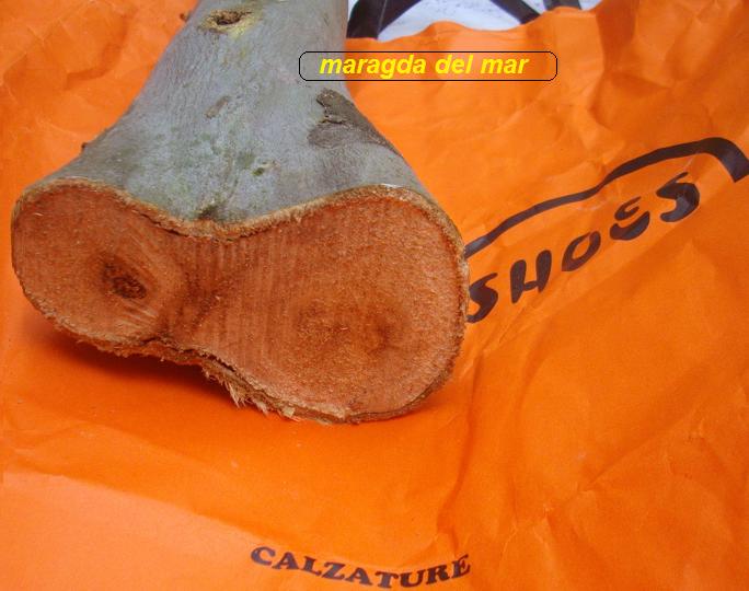 Scarpe bimbo super-ecologiche...